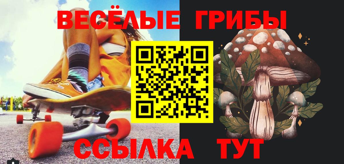 Псилоцибиновые грибы Cubensis Верхний Уфалей